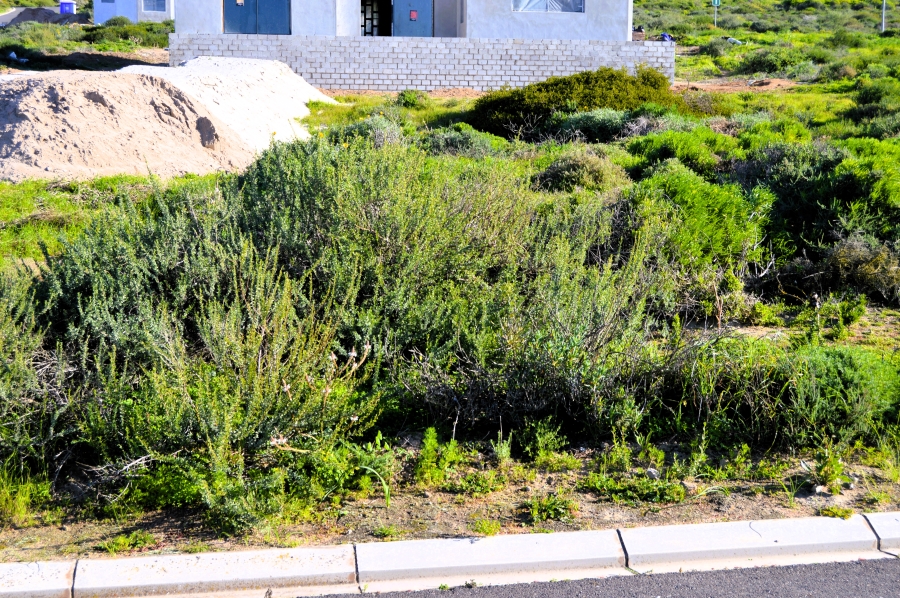 0 Bedroom Property for Sale in Steenbergs Cove Western Cape